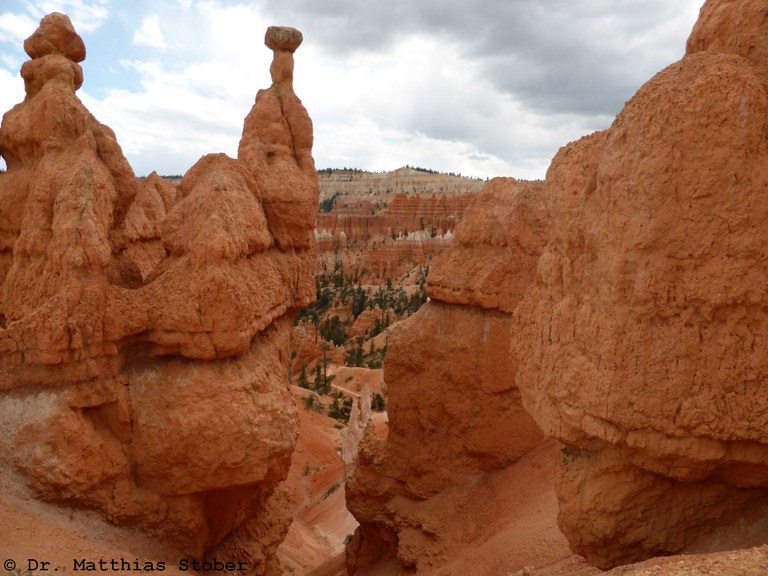 P1020580_Bryce.jpg