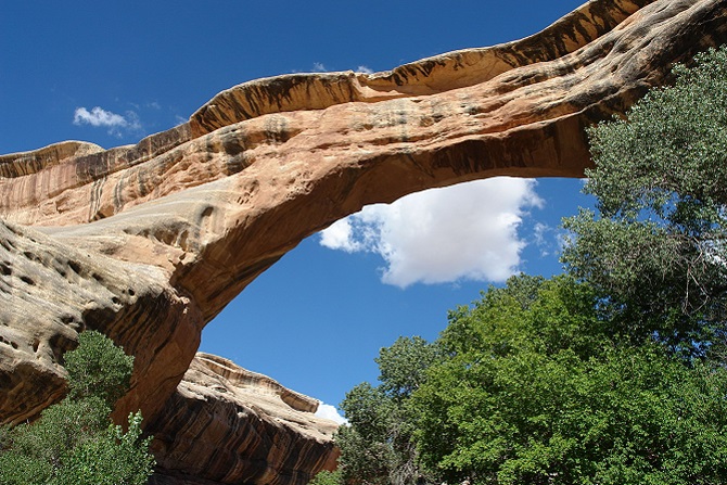 Bridges.jpg