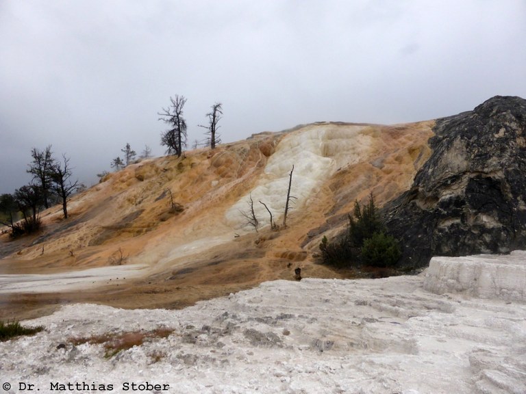 Yellowstone Mammoth Hot Springs