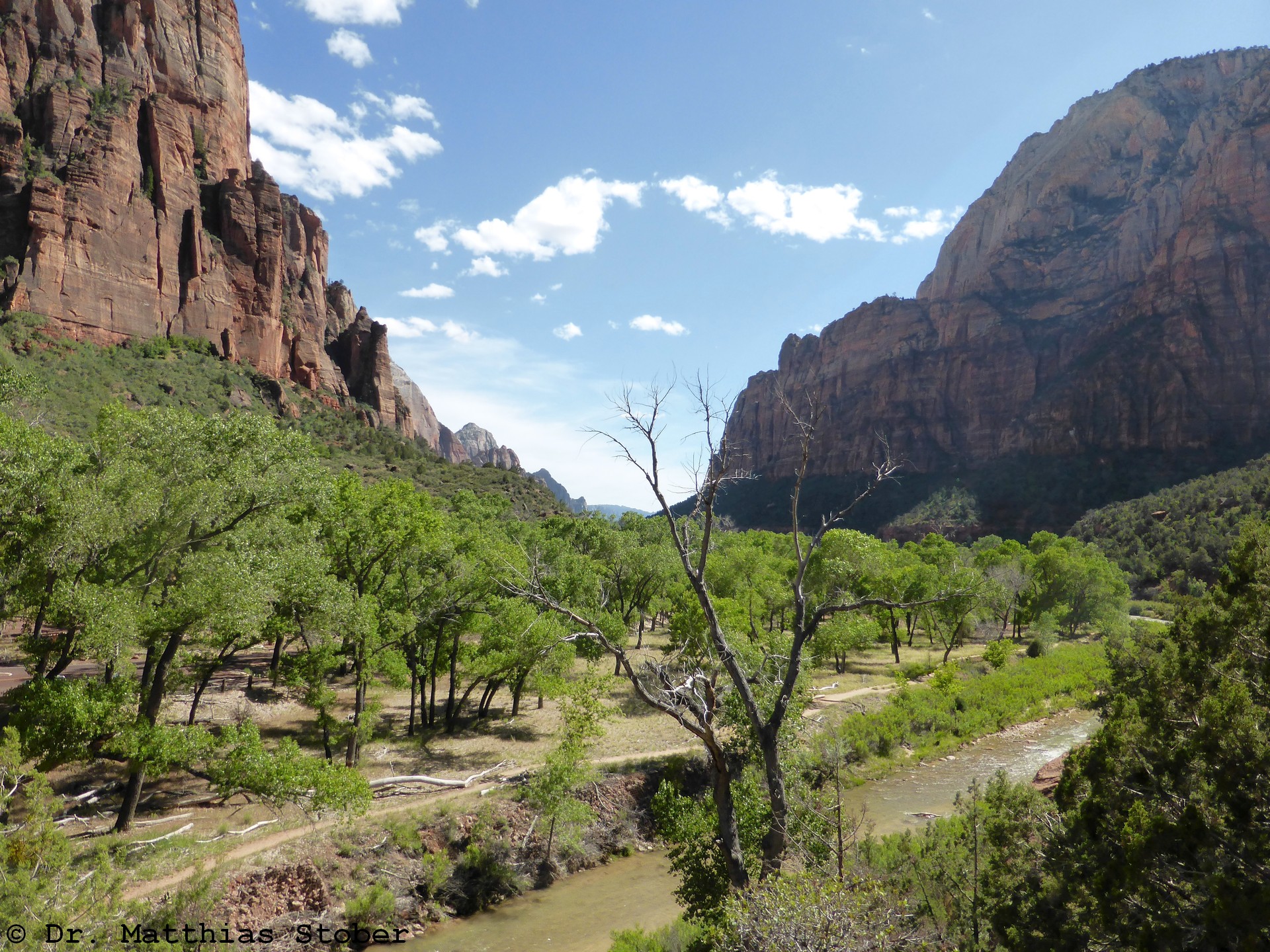 P1020444_Zion.jpg