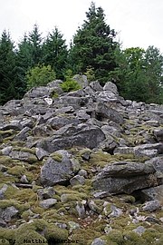 Blockhalde im nördlichen Schwarzwald