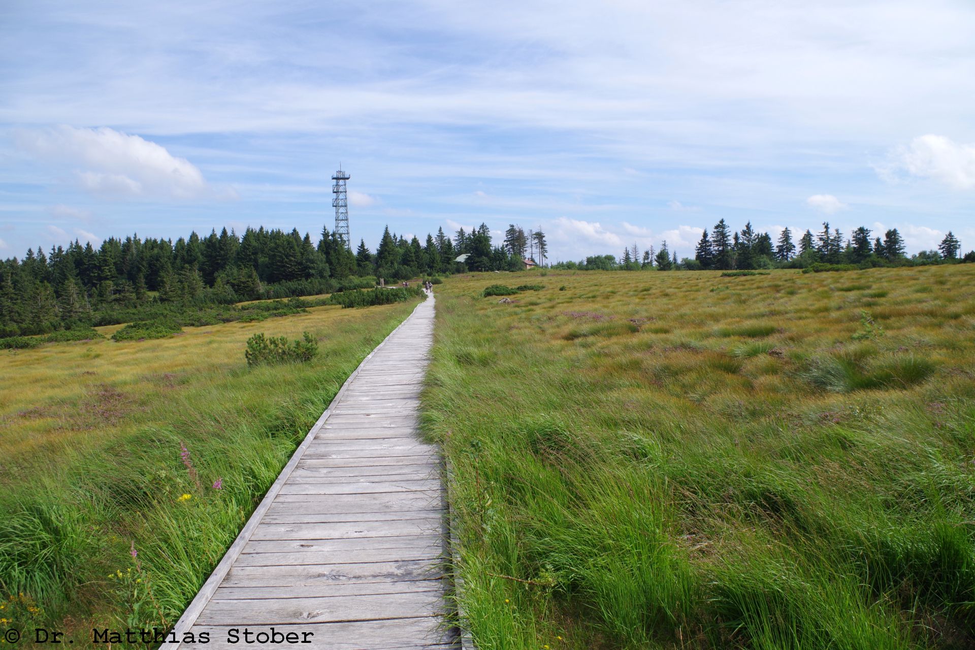 Wanderweg über das Hochmoor der Hornisgrinde