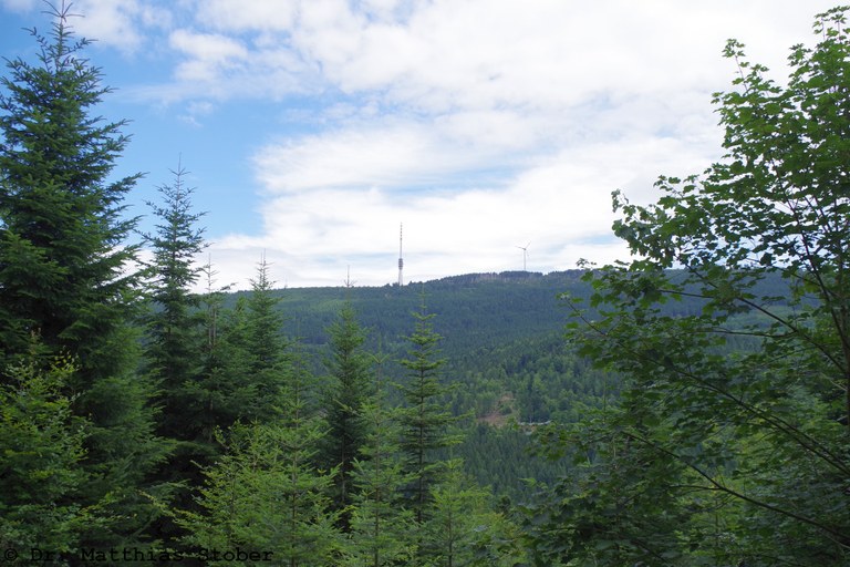 Hornisgrinde im Nordschwarzwald