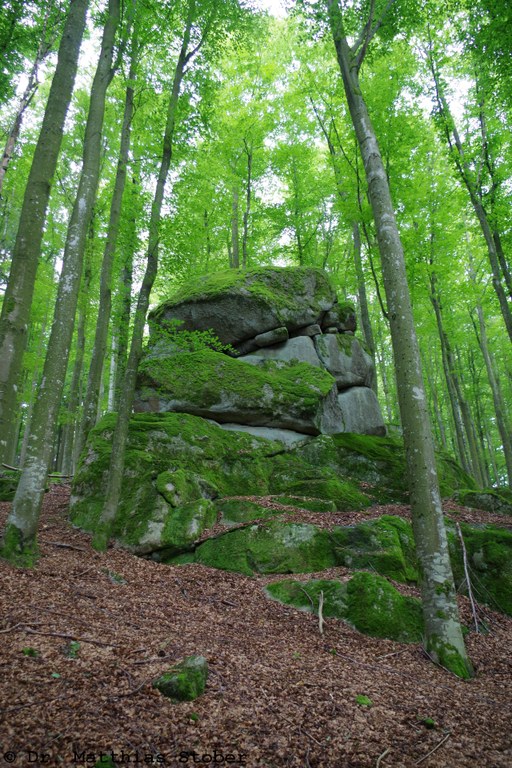 Felsenburg und Wollsackblöcke