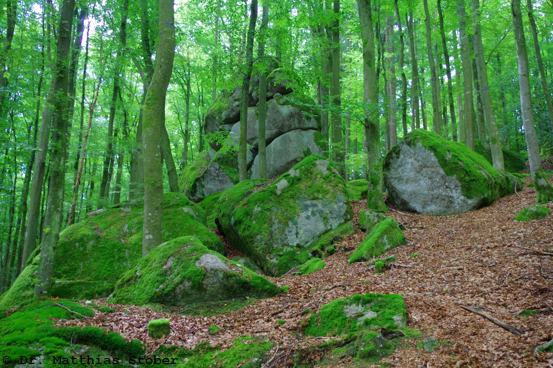 Felsenburg und Wollsackblöcke