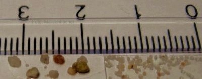 Korngrößen: Grob-, Feinsand