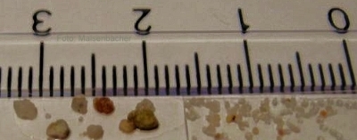 Korngrößen: Grob-, Feinsand