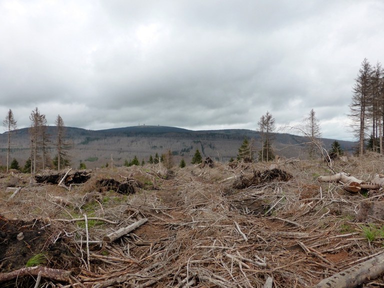 Harz: Brocken Harz: Brocken
