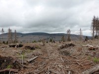 Harz Brocken