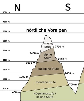 Skizze der Höhenstufen der nördlichen Kalkalpen mit Höhenangaben und Bezeichnungen der Stufen