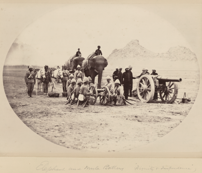 Elephant_and_Mule_Battery_('Dignity_&_Impudence')_WDL11496.png Elephant_and_Mule_Battery_('Dignity_&_Impudence')_WDL11496.png