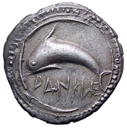 Delfin aus Zankle Delfin aus Zankle