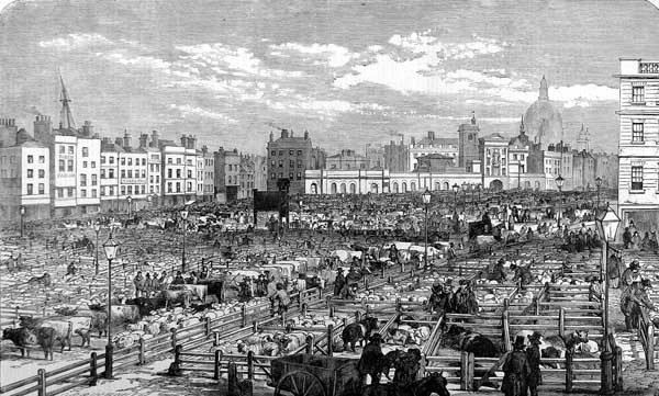 Der Smithfield Markt 1855