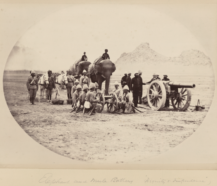 Elephant_and_Mule_Battery_('Dignity_&_Impudence')_WDL11496.png