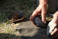 feuer-3-funkenschlag-240pix.jpg feuer-3-funkenschlag-240pix.jpg