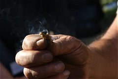 feuer-4-zunder-brennt-240pix.jpg feuer-4-zunder-brennt-240pix.jpg