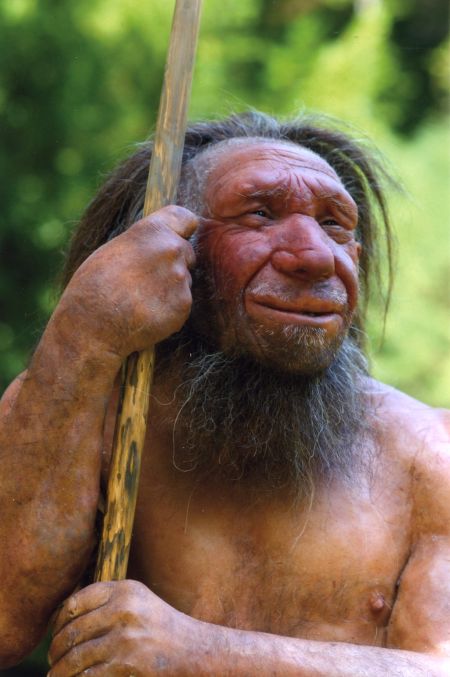 Neandertaler: Nachbildung im Museum