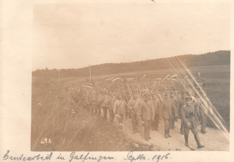 036- Erntearbeit in galfingen Sept. 1916.jpg