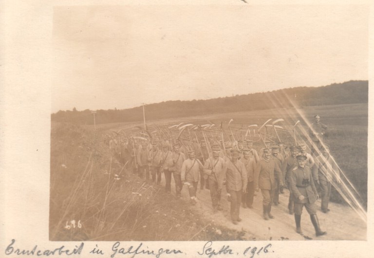 036- Erntearbeit in galfingen Sept. 1916.jpg 036- Erntearbeit in galfingen Sept. 1916.jpg