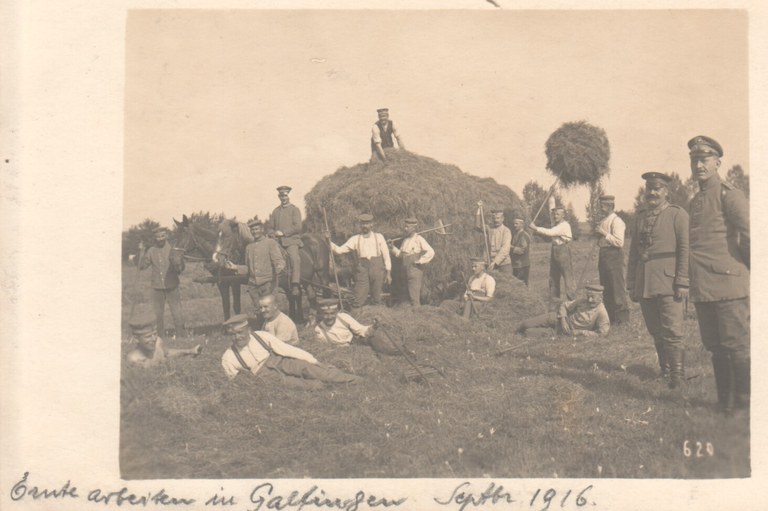 037-Erntearbeiten 1916.jpg 037-Erntearbeiten 1916.jpg