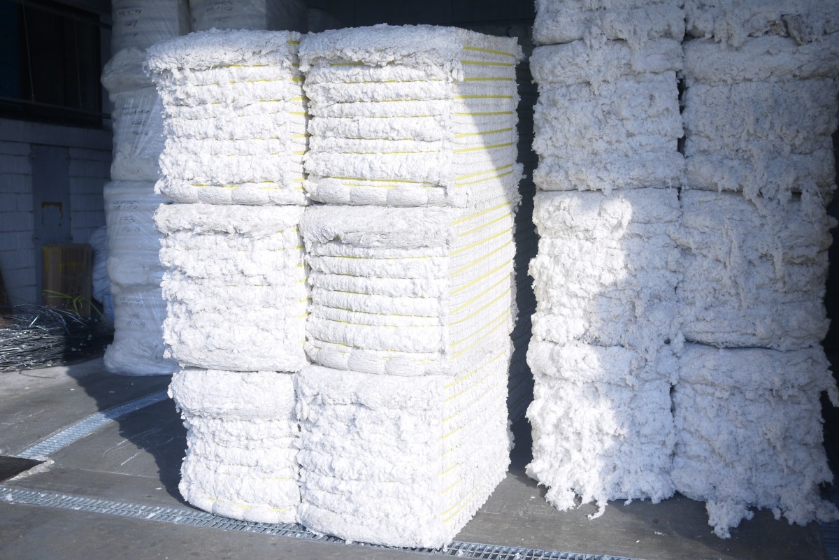 cotton.jpeg