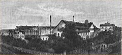 firma-hueni-1889-240pix.jpg firma-hueni-1889-240pix.jpg