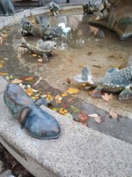 der Forellenbrunnen (Ausschnitt) auf dem Marktplatz (Hauptstraße) i