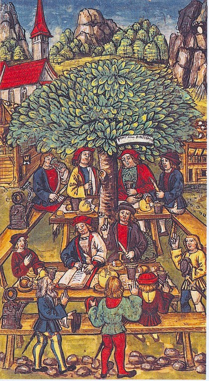 B10 Gerichtslinde.jpg