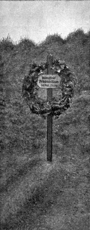 b14.jpg b14.jpg