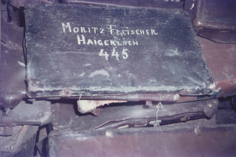 fleischer.jpg