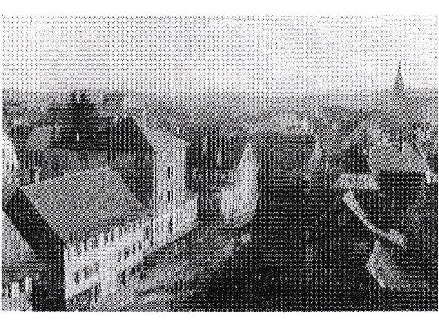 b8.jpg b8.jpg