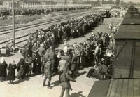 Birkenau selection on the platform