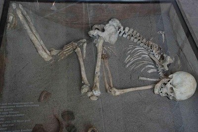 b1.jpg