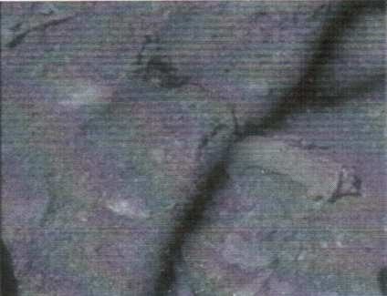 b11.jpg