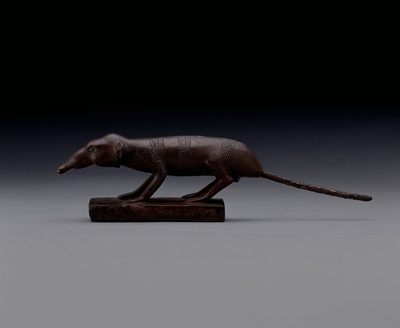 Elefantenspitzmaus aus dem Museum der Universität Tübingen MUT