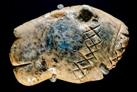 Löwenköpfchen