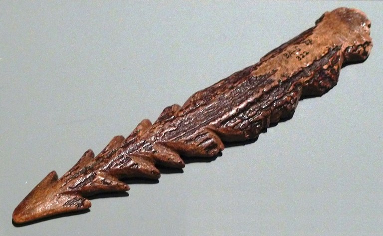 b10 - harpune.jpg