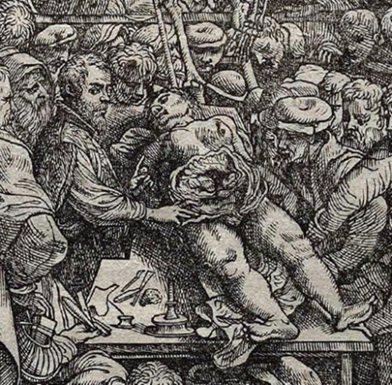B11_Vesalius.jpg