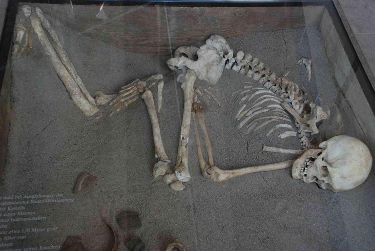 b2.jpg