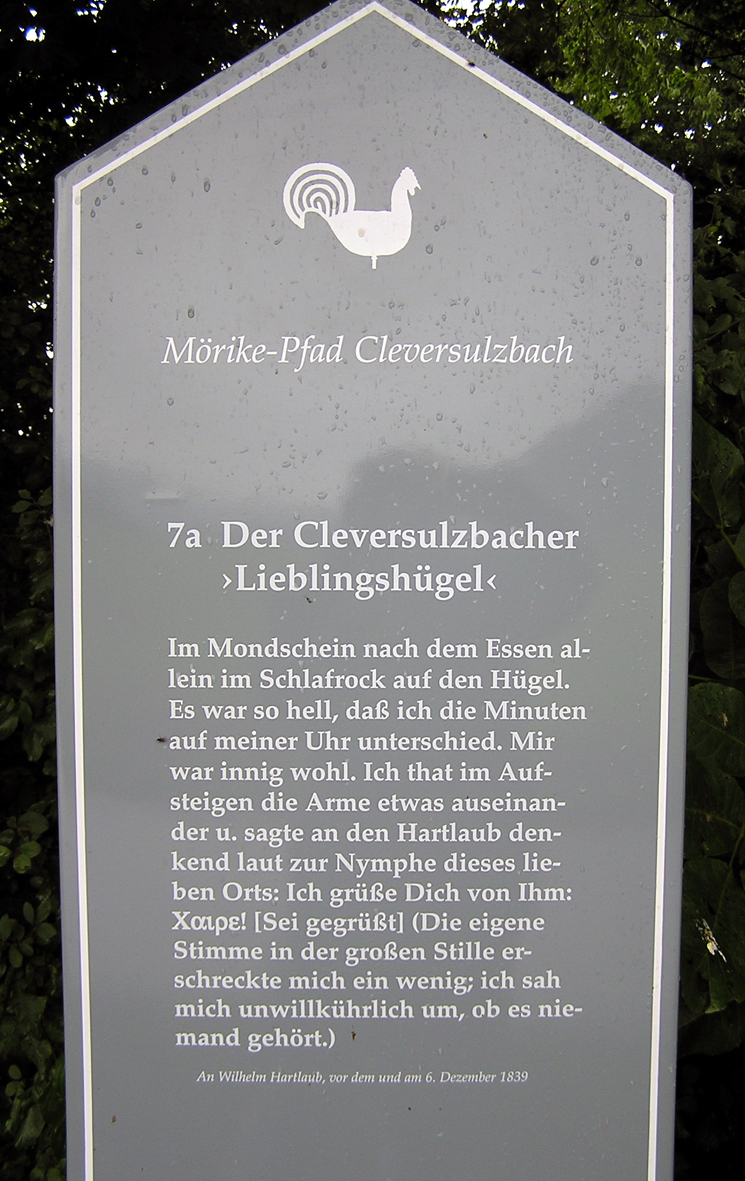b6.jpg