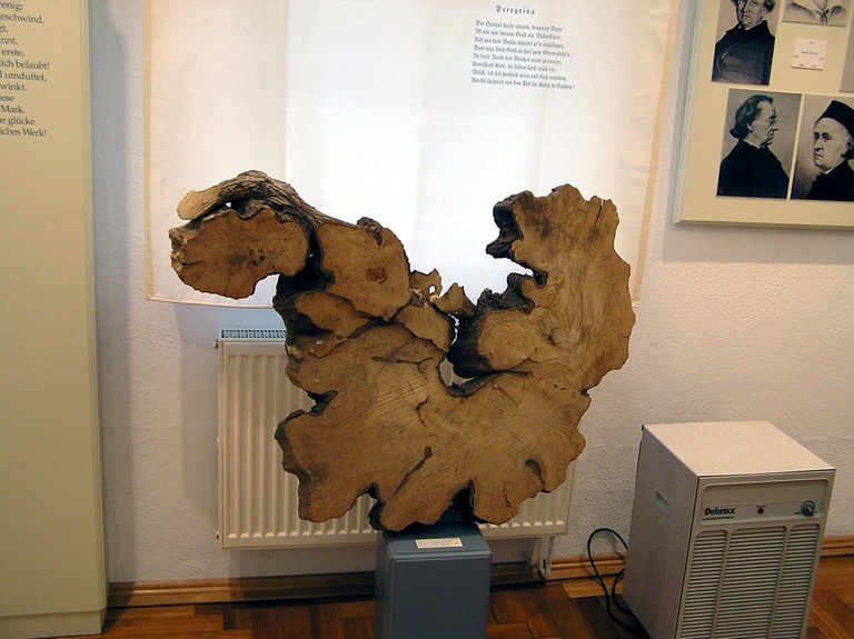 b7.jpg