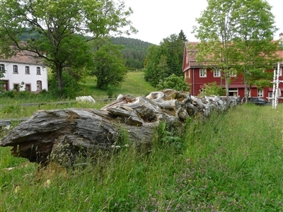  Glashütte Buhbach