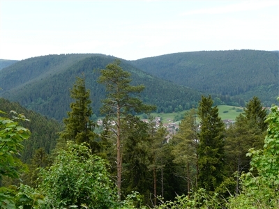 Blick vom Kienberg 