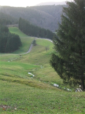  bei Schwarzenberg im Murgtal