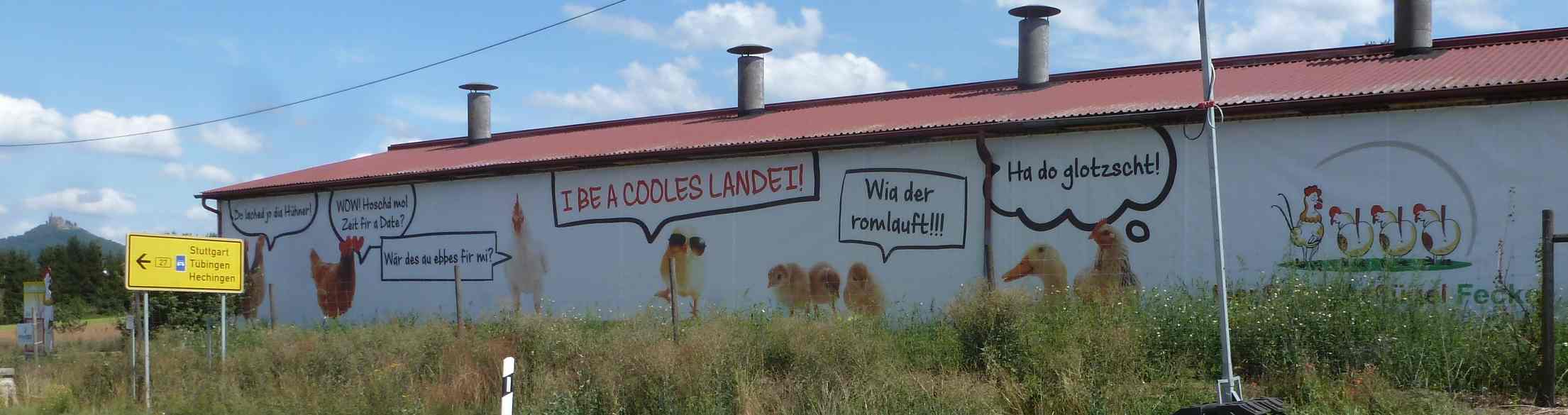 b8 geflügelhof fecker1.jpg