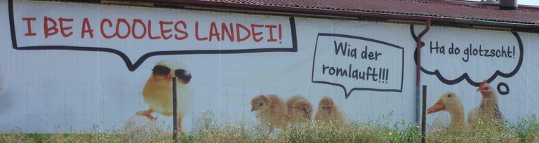 b9 geflügelhof fecker2.jpg