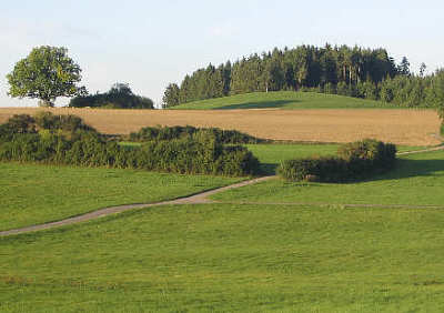 Das Fürstengrab &apos;Magdalenenberg&apos; bei Villingen