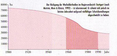 Der Rückgang der Wacholderheiden im Regierungsbezirk Stuttgart