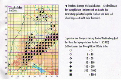 Wacholderheiden in Baden-Württemberg 