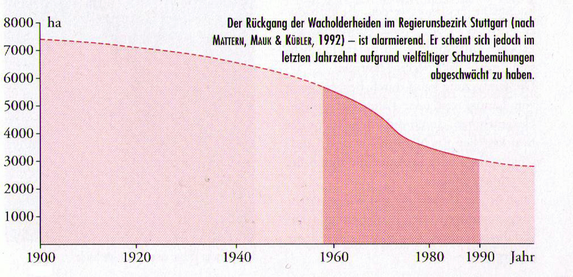 b6.jpg